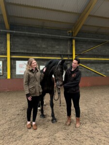 Stepney Bank Stables