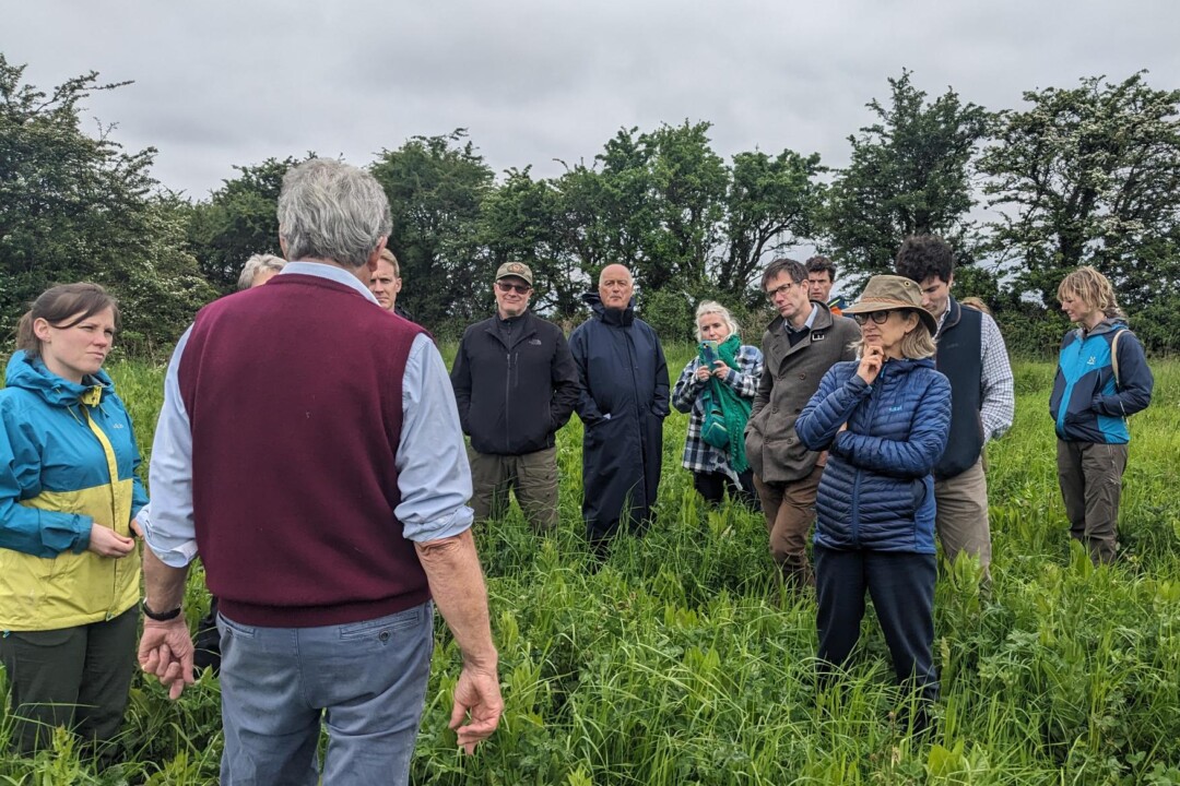 Farm tour