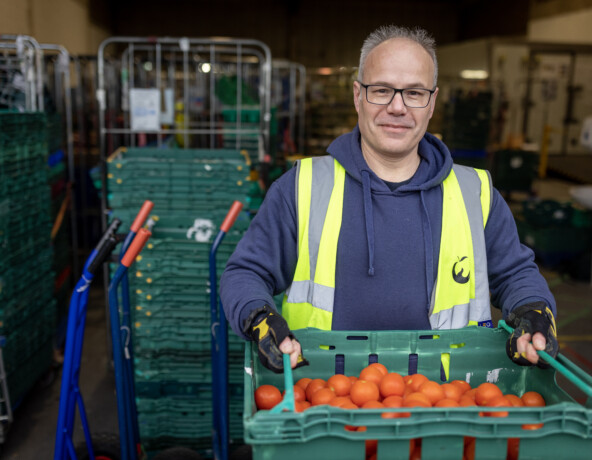 Volunteer holding a tray of tomatoes